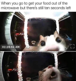 1779443848466.png