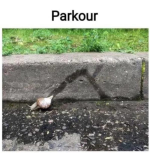 1779444059631.png