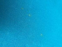 IMG_3618.jpeg