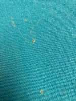 IMG_3617.jpeg