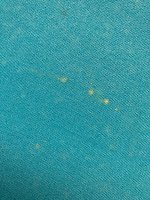 IMG_3616.jpeg