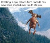 full-415-295388-720057722_122255199128160178_5233427461173489530_n.jpg