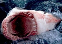 68%20Sarlac%20Mouth.jpg