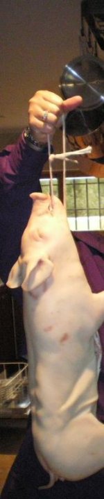 IMGP0486.JPG
