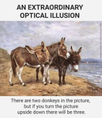 1783363272703.png