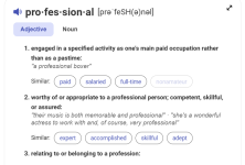 professional definition.png