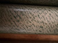 IMG_5372.jpeg