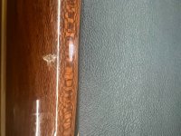 IMG_7835.jpeg