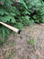 IMG_8540.jpeg