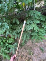 IMG_8539.jpeg