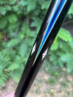 IMG_8327.jpeg