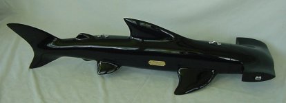 Sharkcase.jpg