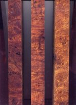 desert ironwood.jpg