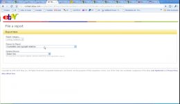 Ebay Report Item 3.jpg