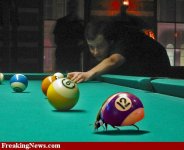 Pool-Ball-Bug--25598.jpg