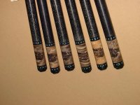 DCCbuttsleeve2006.jpg