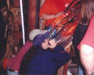 luge.jpg