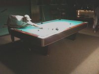 IMG_0192.jpg