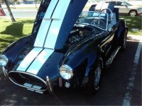 COBRA 1.jpg