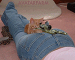 catsniper.gif