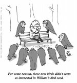 vultures.jpg
