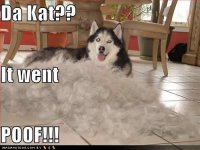 poof.jpg