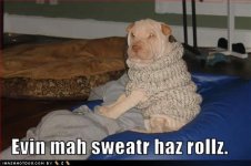 rollz.jpg