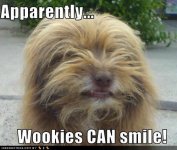 wookie smile.jpg