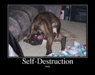 SelfDestruction.jpg