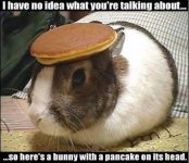 Buncake.jpg