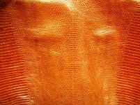 Leather Wraps 031.jpg