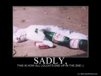 cat passed out.jpg