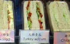 80 Ill Just Have the Regular Turkey Thanks.jpg
