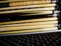 Predator Cues Pics 003.jpg