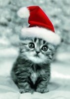 thumbs_christmas_cute-69.jpg
