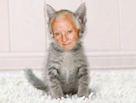 willie-cat.jpg