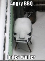 bbq is angry.jpg