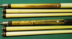 Gina forearms.jpg