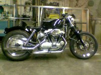 Harleymed.JPG