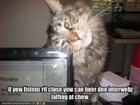 laffing-interwebz.jpg
