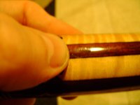 small blemish buttcap.jpg