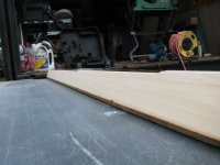 Newest pictures 136.JPG