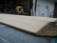 Newest pictures 132.JPG