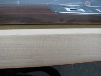 Newest pictures 123 - Copy.JPG