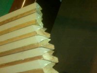 IMG00326.jpg