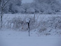 DSC04911.JPG