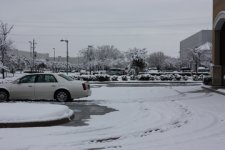 snow 1.jpg
