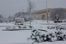 snow 2.jpg