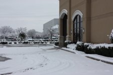 snow 4.jpg