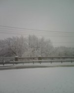 IMG01687.jpg